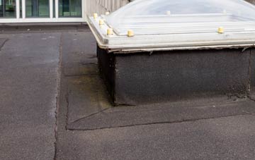 disadvantages of Elder Street flat roofs